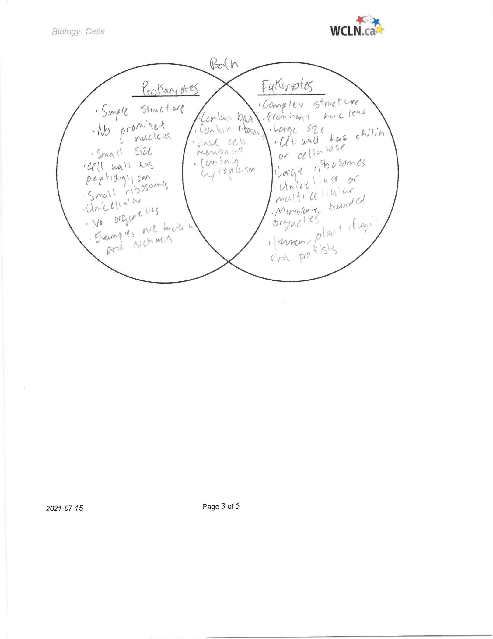 85 Prokaryotic And Eukaryotic Worksheet 70