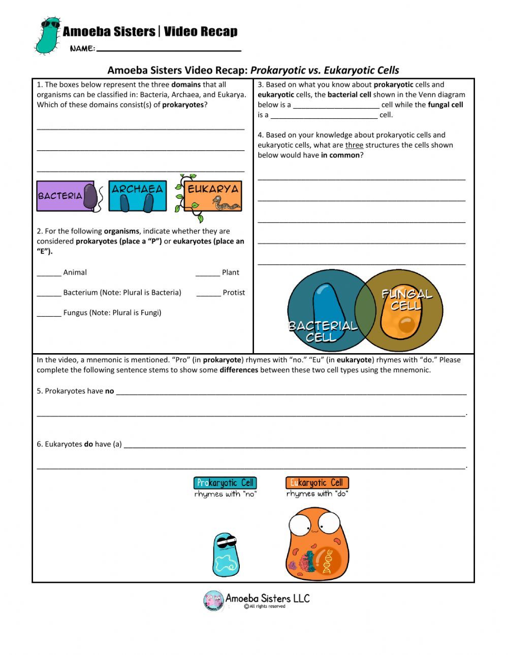 85 Prokaryotic And Eukaryotic Worksheet 82