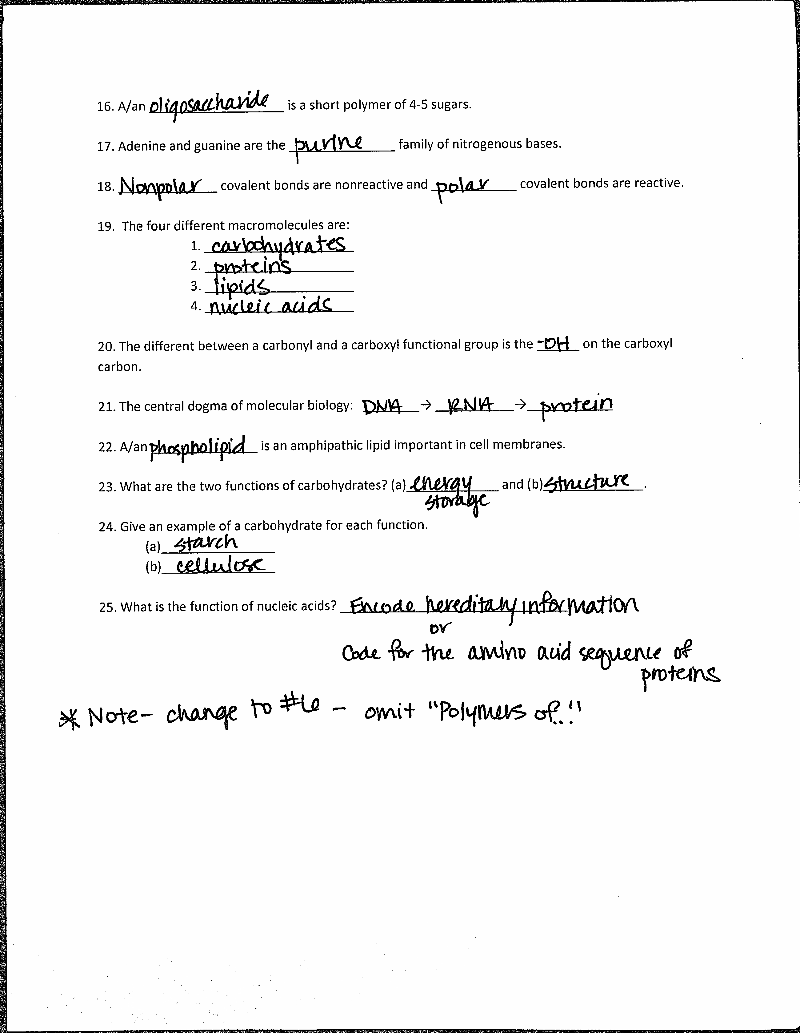 85 Restriction Enzyme Worksheet Answers 10