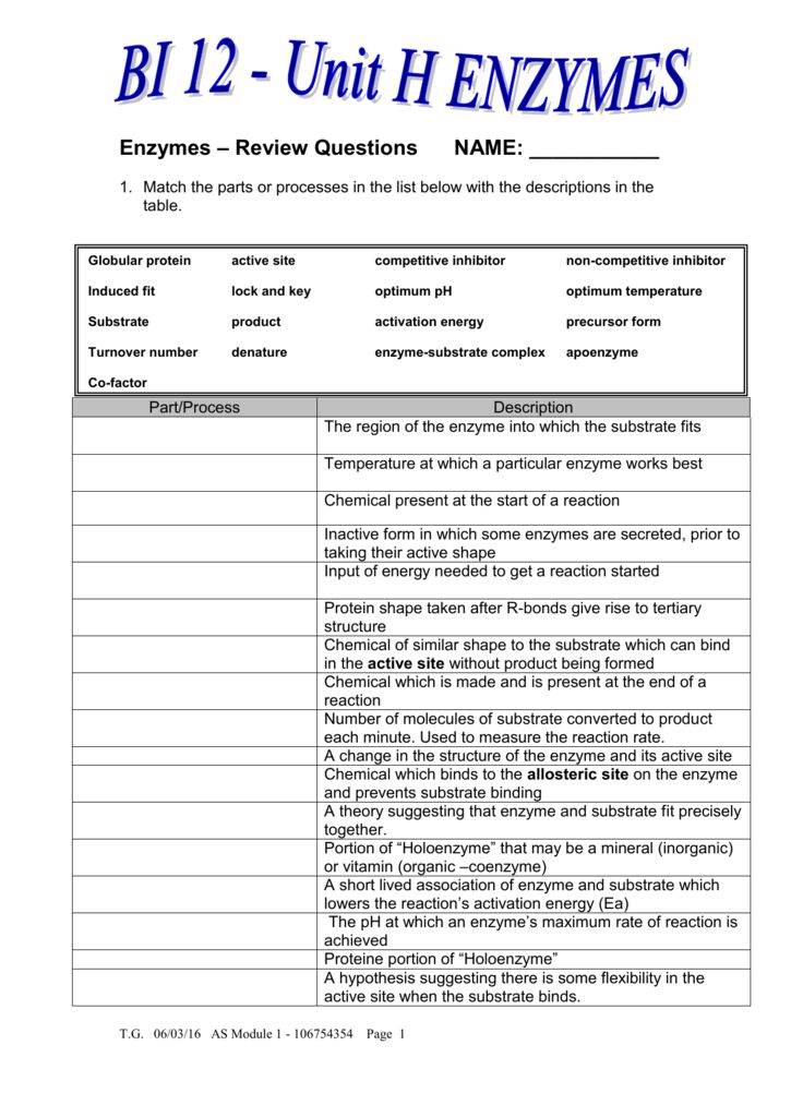 85 Restriction Enzyme Worksheet Answers 13