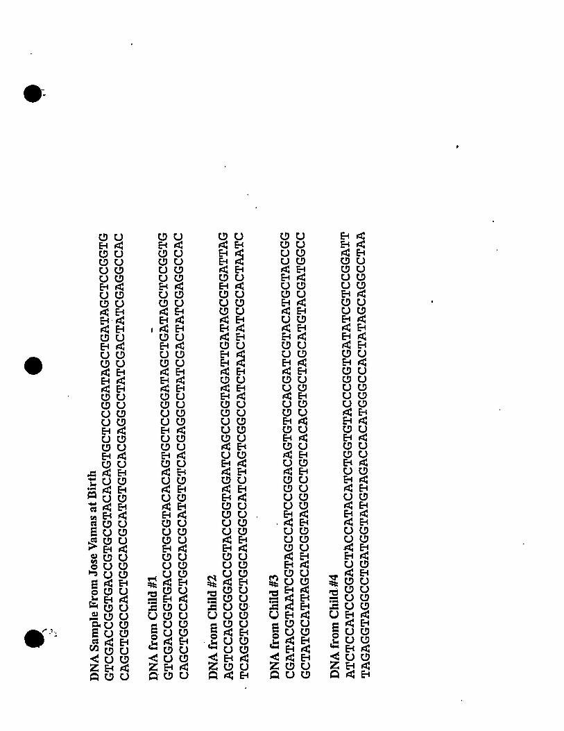 85 Restriction Enzyme Worksheet Answers 15