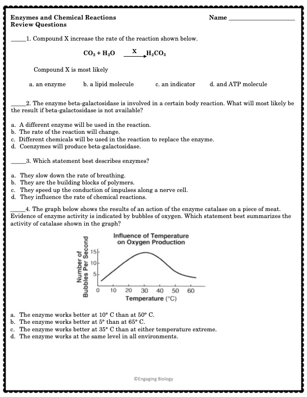 85 Restriction Enzyme Worksheet Answers 16