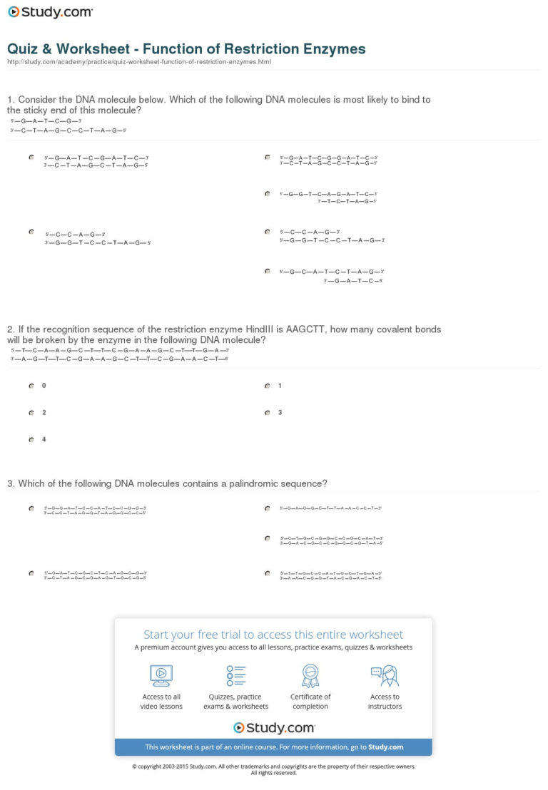 85 Restriction Enzyme Worksheet Answers 2