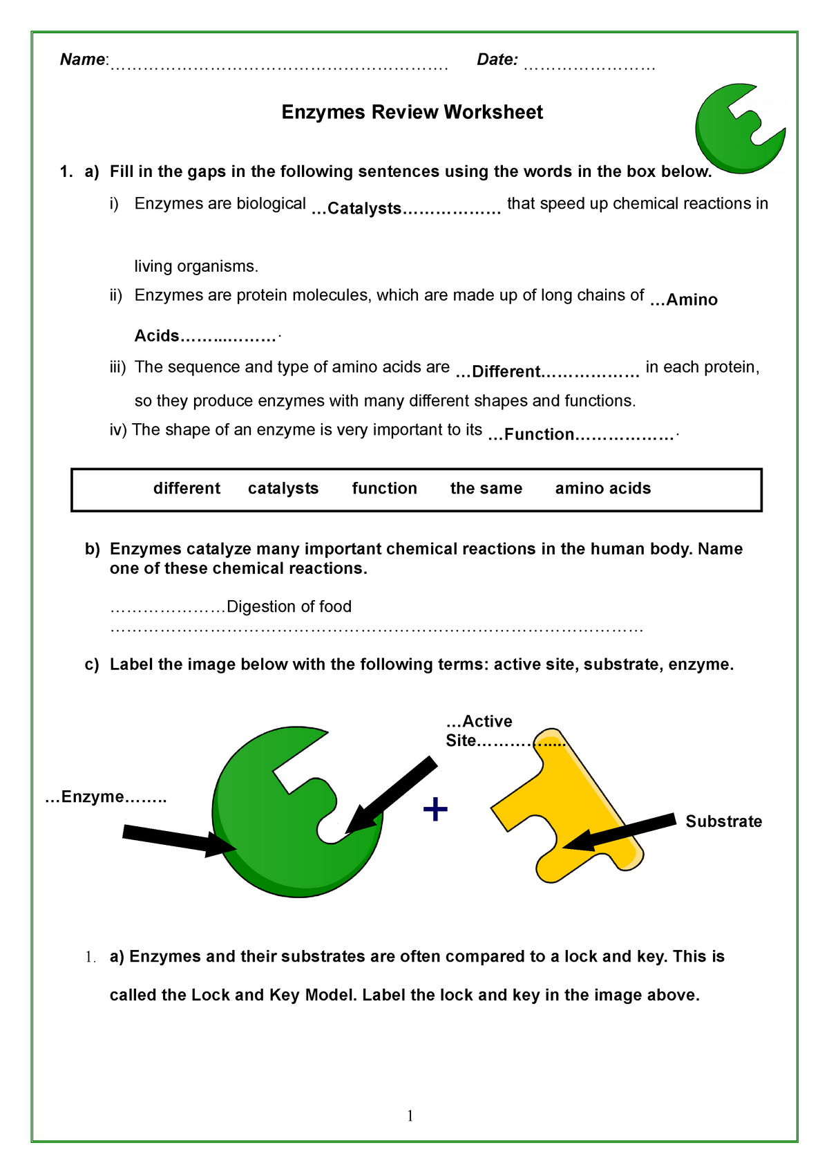 85 Restriction Enzyme Worksheet Answers 22