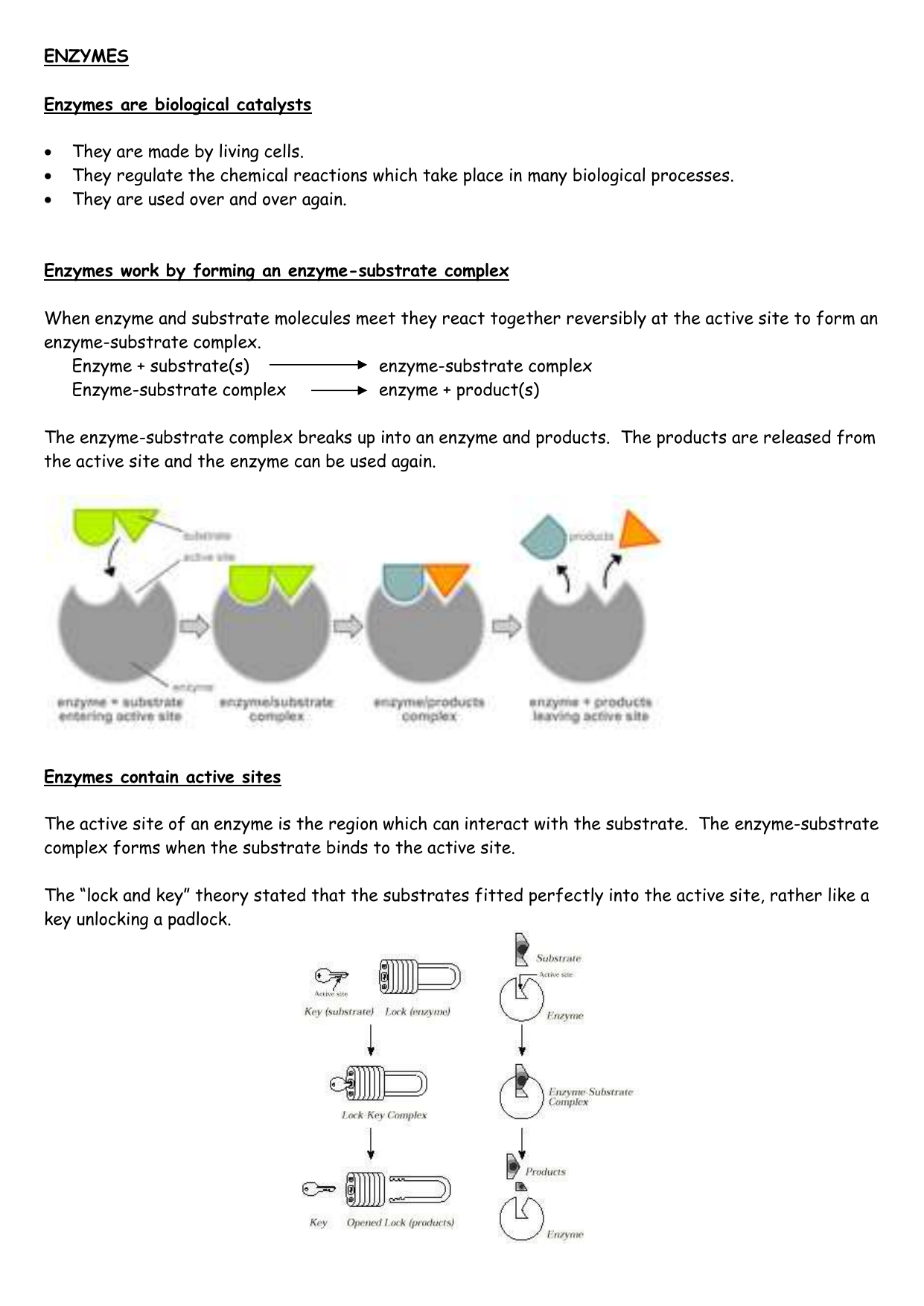 85 Restriction Enzyme Worksheet Answers 25