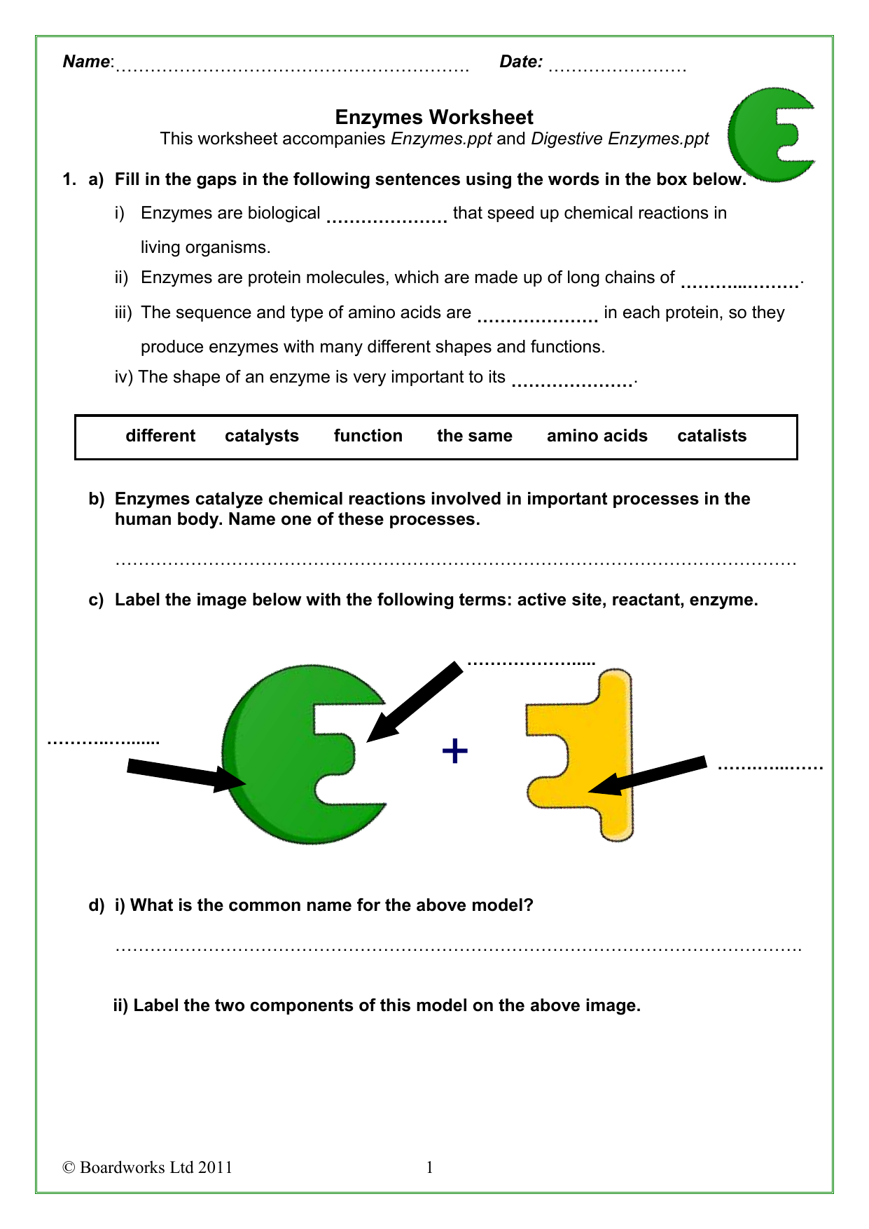 85 Restriction Enzyme Worksheet Answers 38