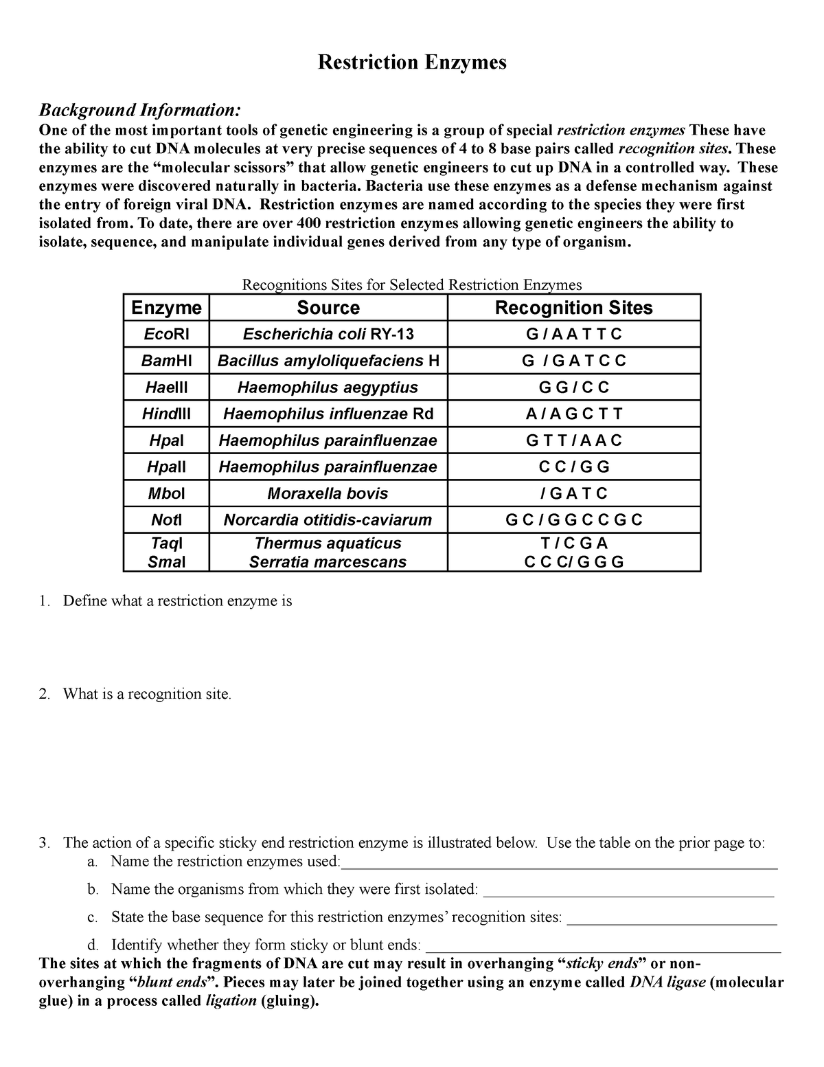 85 Restriction Enzyme Worksheet Answers 40