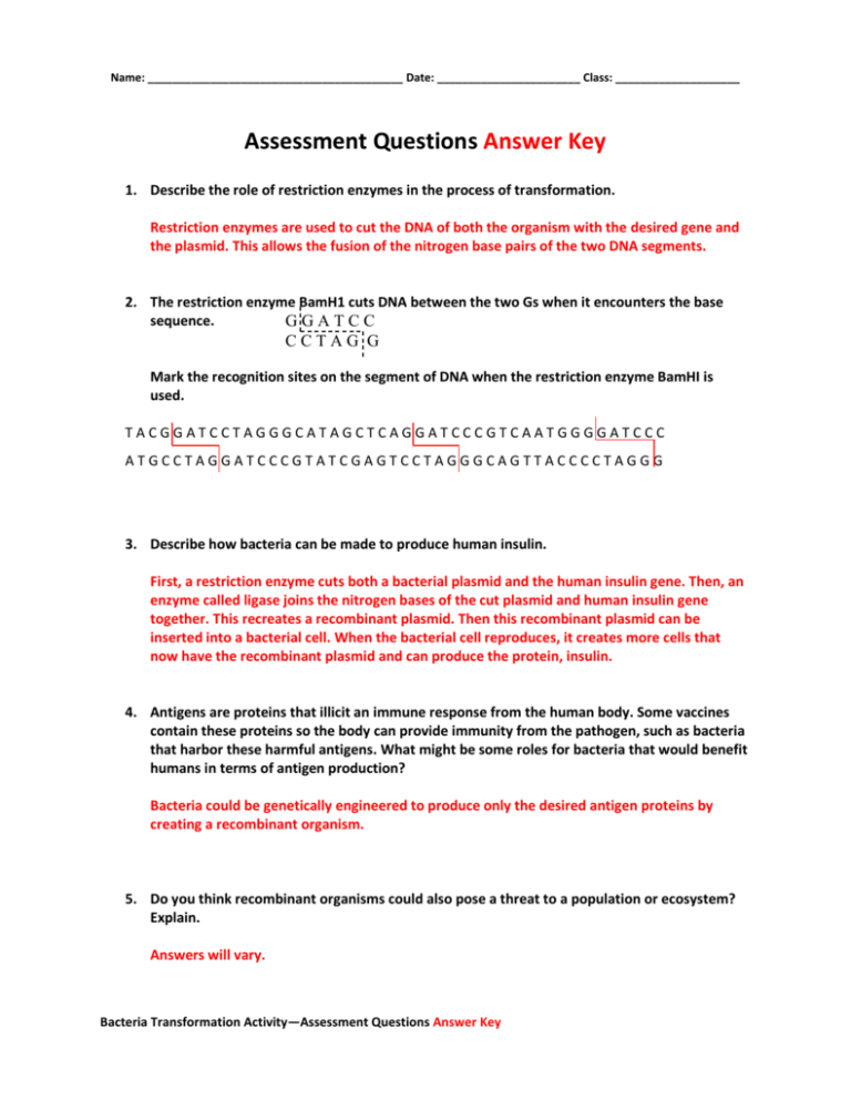 85 Restriction Enzyme Worksheet Answers 41