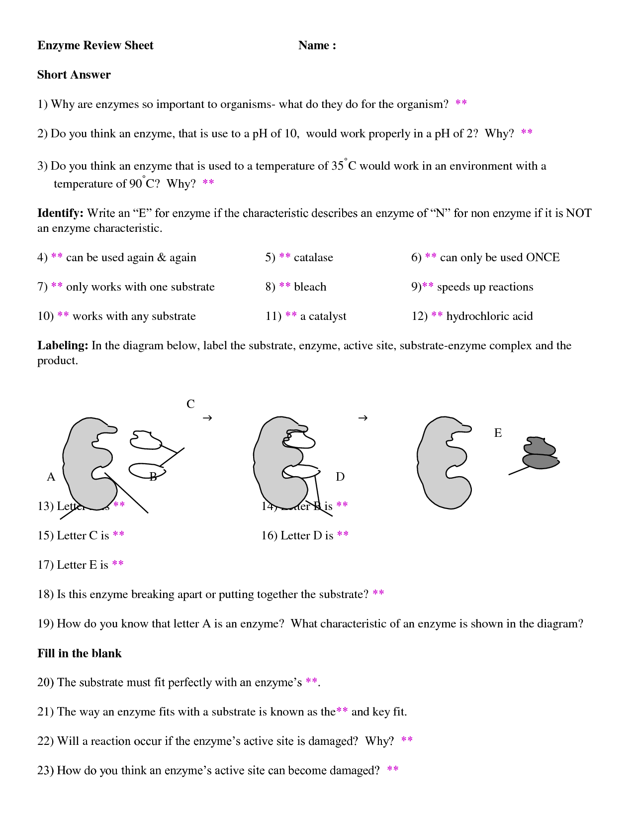 85 Restriction Enzyme Worksheet Answers 42