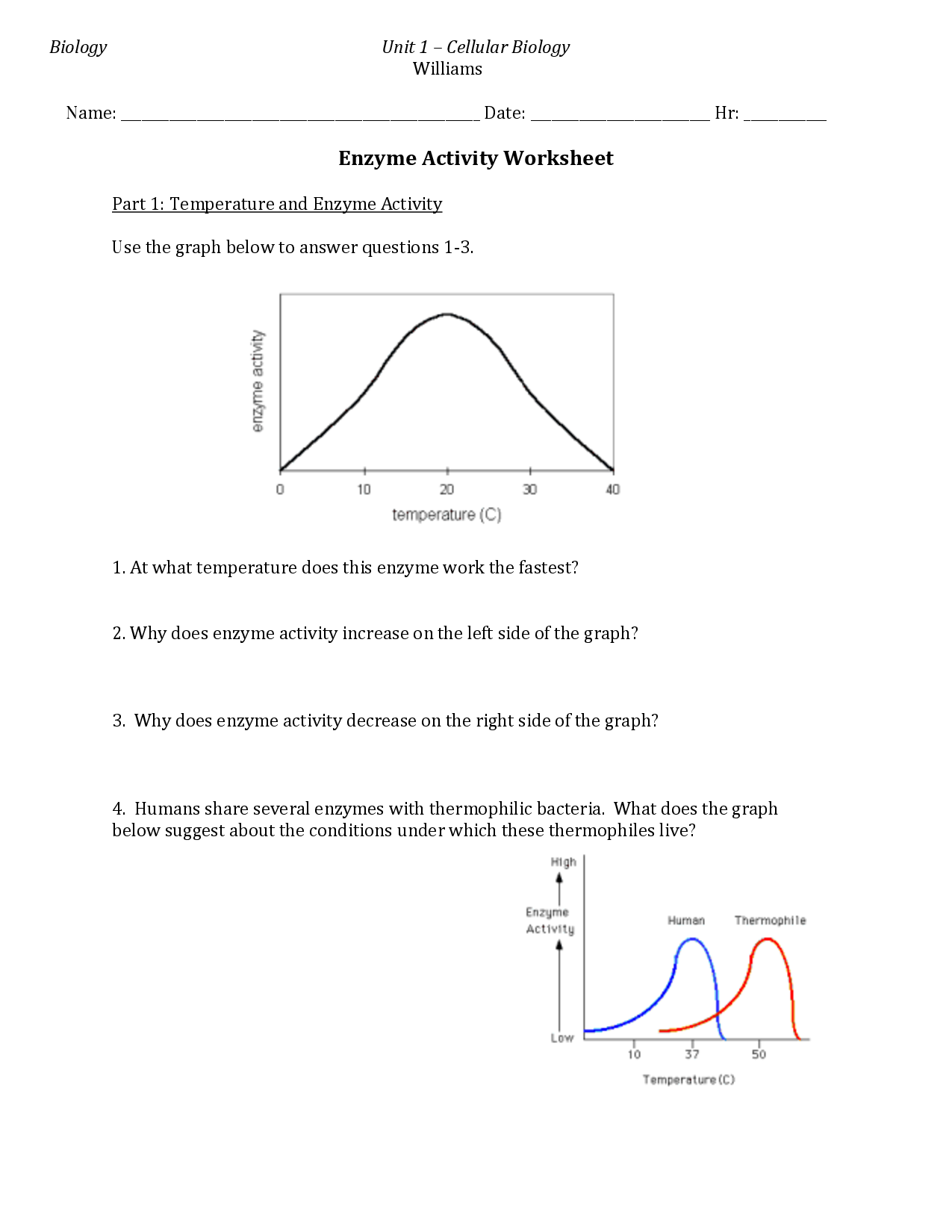 85 Restriction Enzyme Worksheet Answers 44