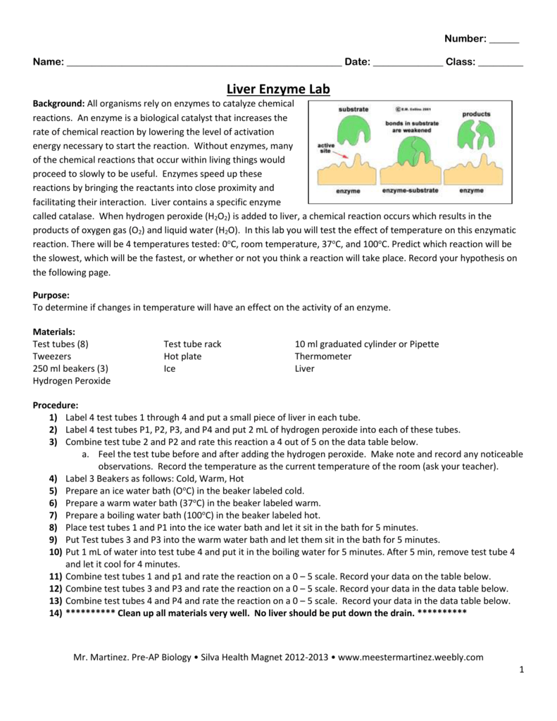 85 Restriction Enzyme Worksheet Answers 49