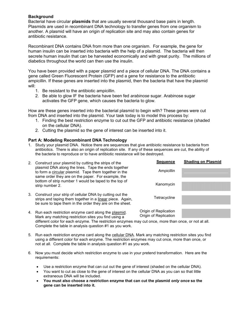 85 Restriction Enzyme Worksheet Answers 56