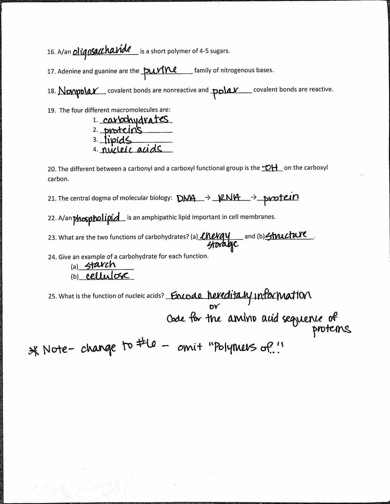 85 Restriction Enzyme Worksheet Answers 57