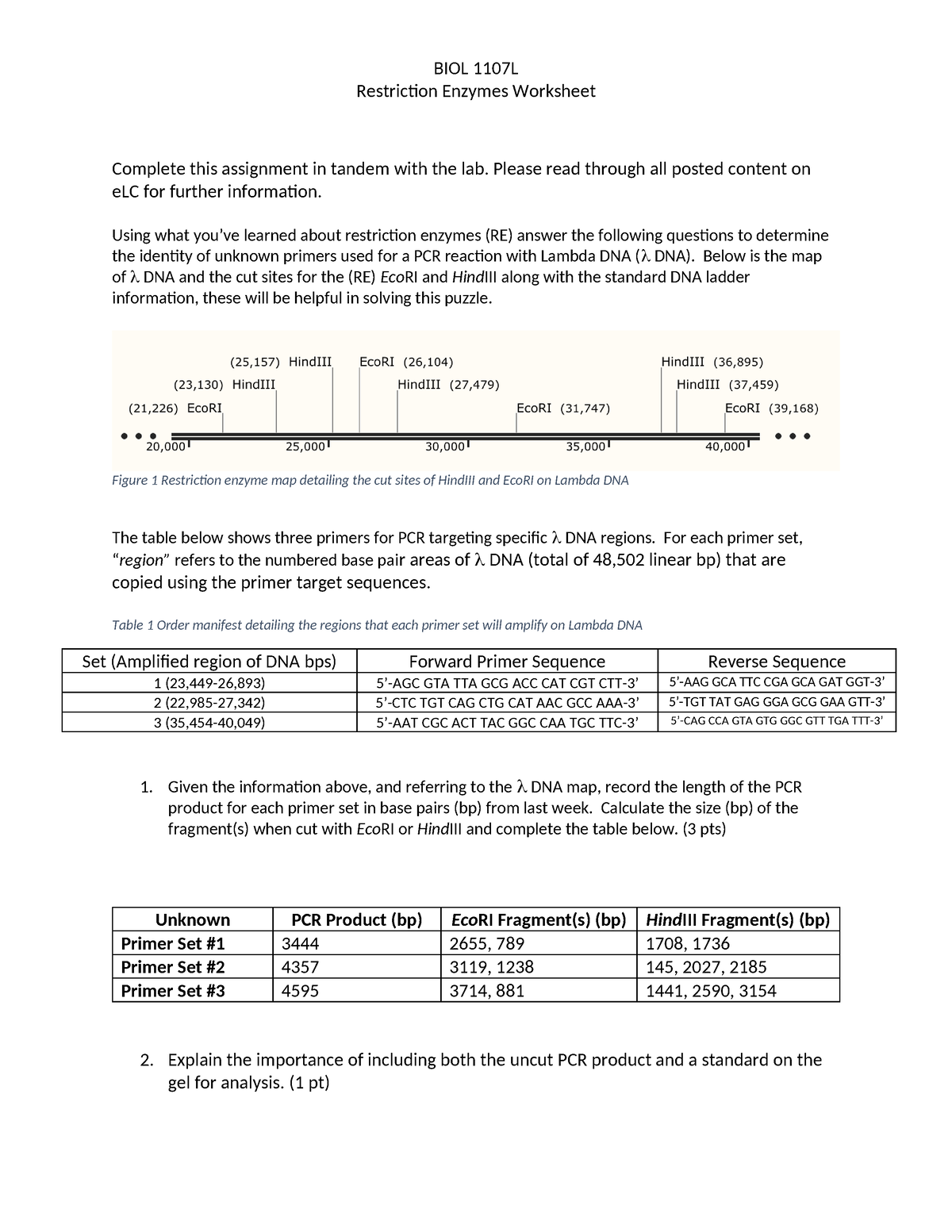 85 Restriction Enzyme Worksheet Answers 63