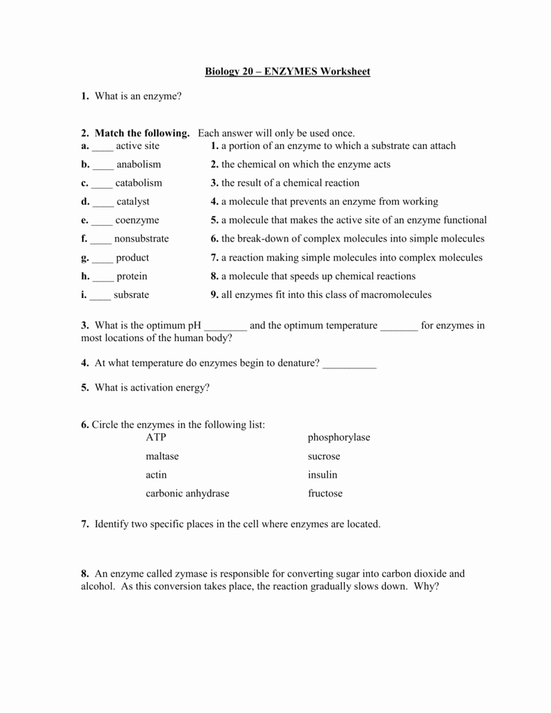 85 Restriction Enzyme Worksheet Answers 66