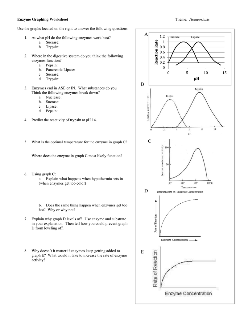 85 Restriction Enzyme Worksheet Answers 70