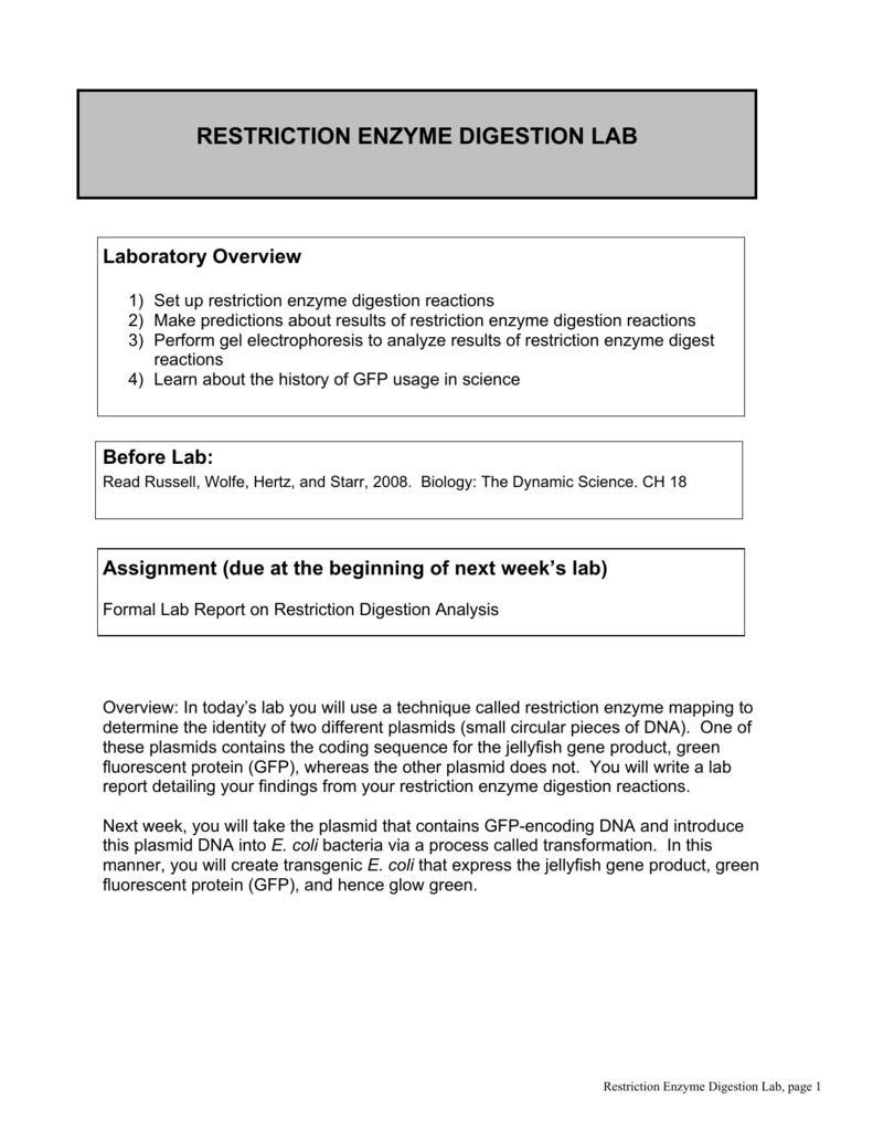 85 Restriction Enzyme Worksheet Answers 73