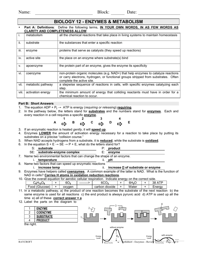 85 Restriction Enzyme Worksheet Answers 78