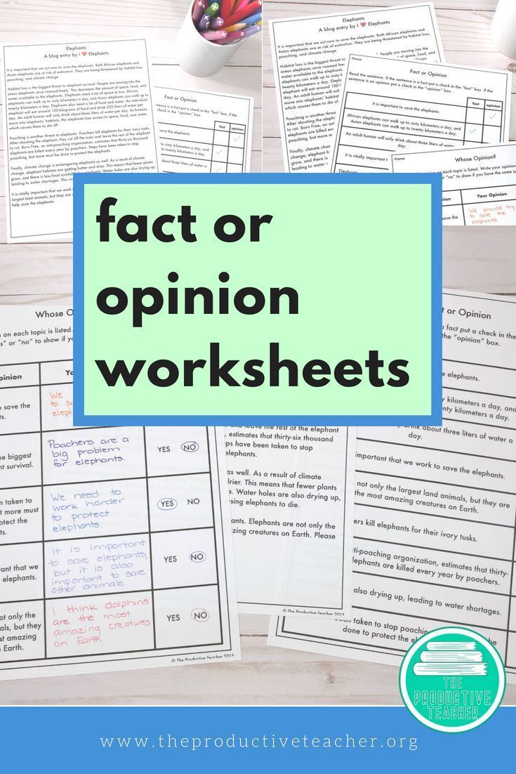 90 Printable Facts And Opinion Worksheet 14