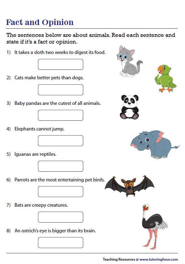 90 Printable Facts And Opinion Worksheet 79