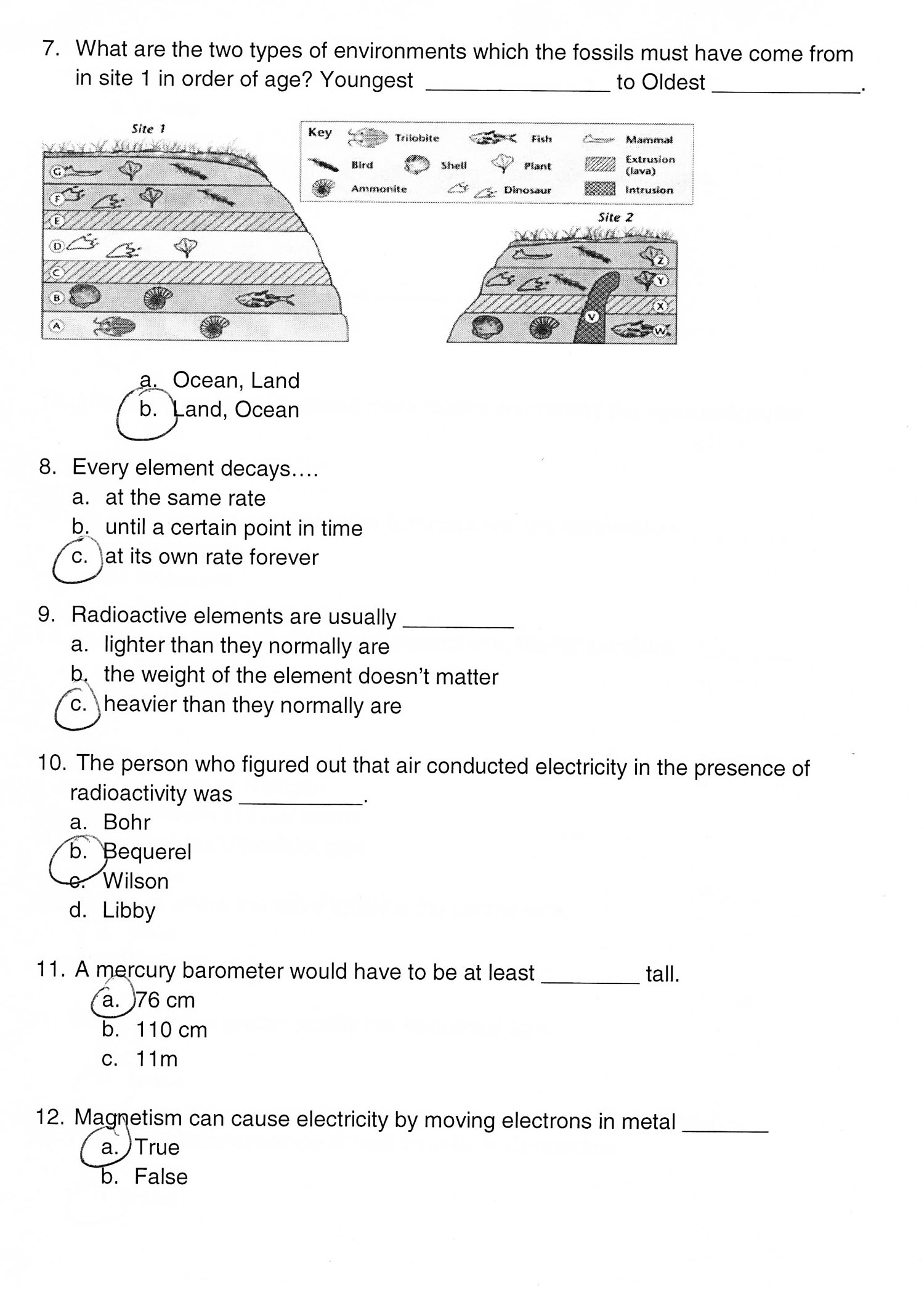 90 Printable Free 8Th Grade Worksheets 68