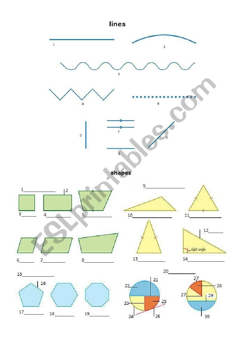 90 Printable Types Of Lines Worksheet 87