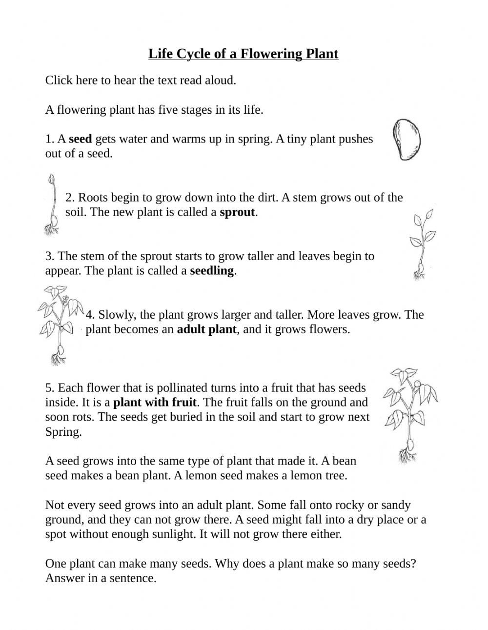 Get 85 Spring Life Cycle Worksheet Ideas 10