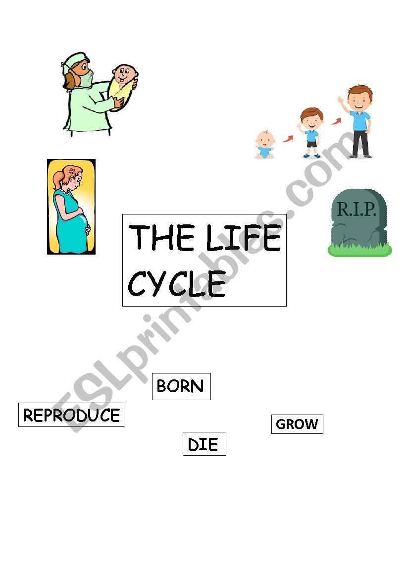 Get 85 Spring Life Cycle Worksheet Ideas 14