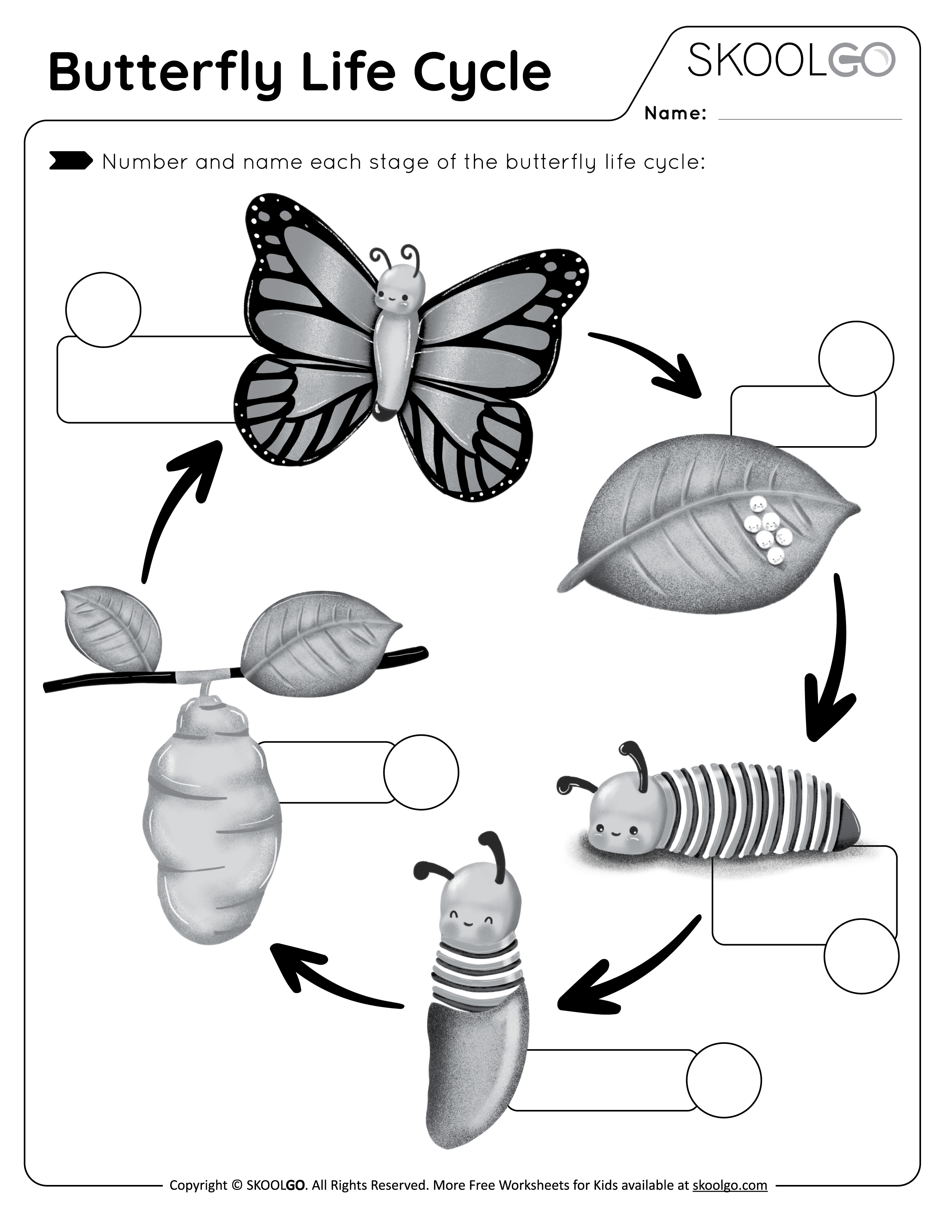 Get 85 Spring Life Cycle Worksheet Ideas 20