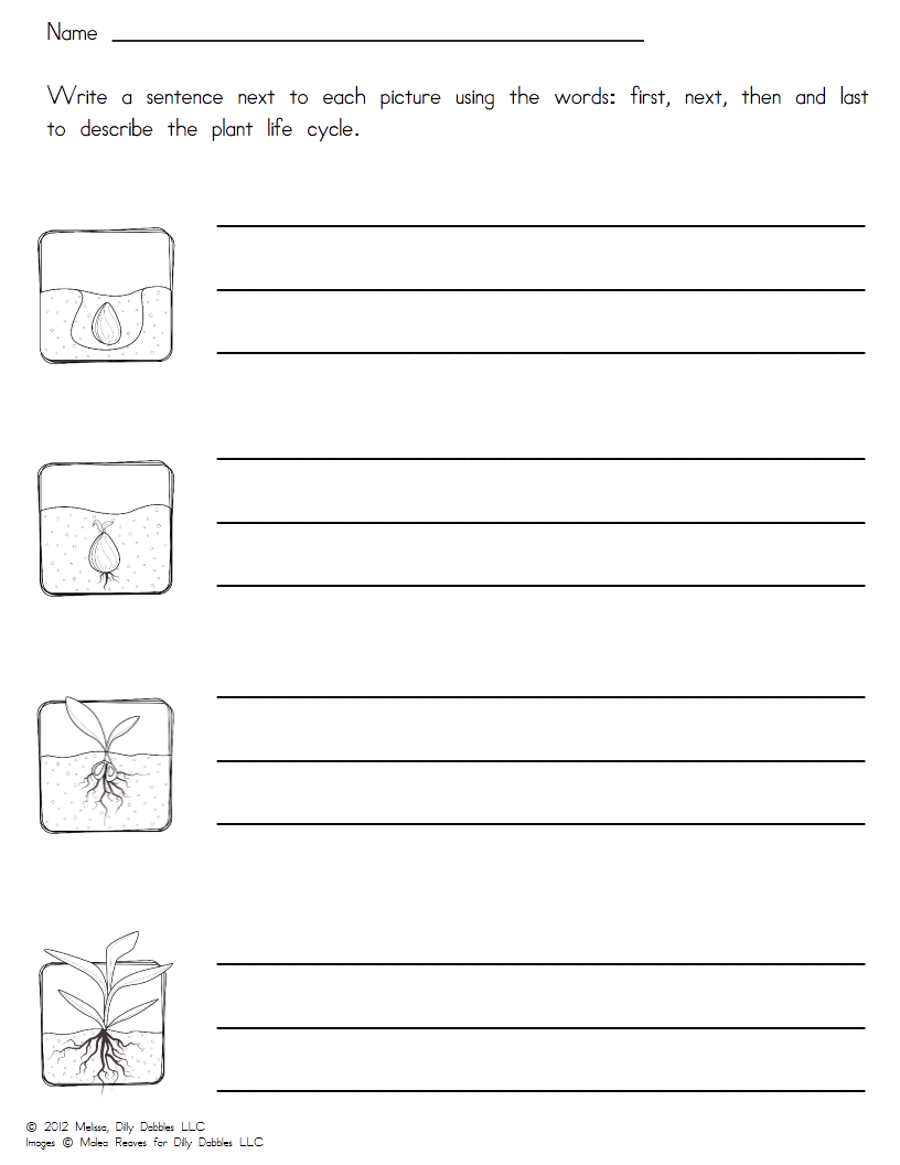 Get 85 Spring Life Cycle Worksheet Ideas 21