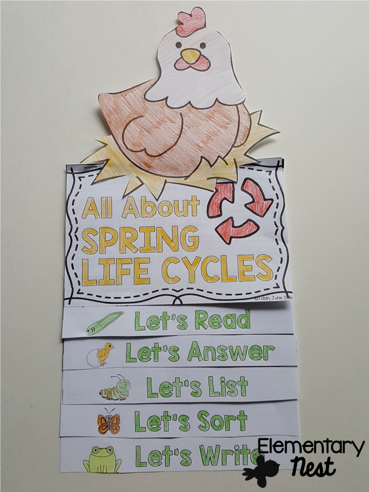 Get 85 Spring Life Cycle Worksheet Ideas 24