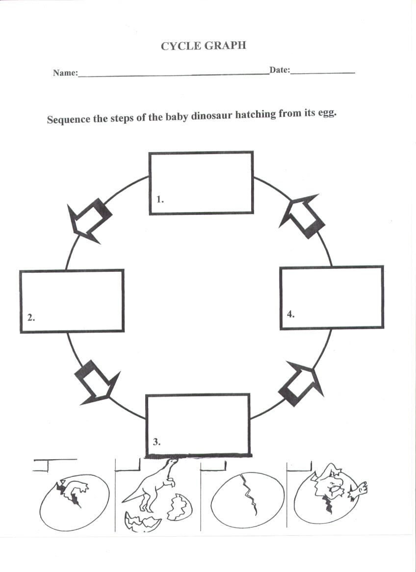 Get 85 Spring Life Cycle Worksheet Ideas 25