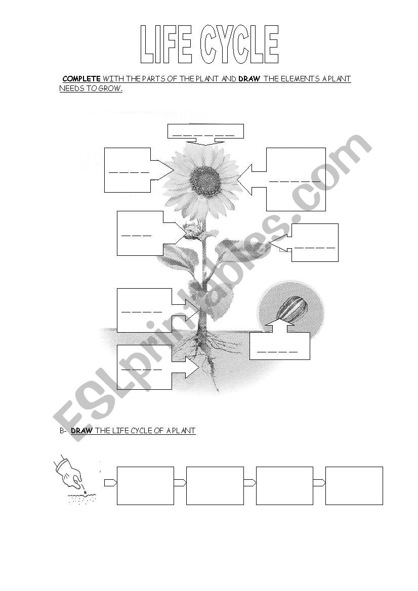 Get 85 Spring Life Cycle Worksheet Ideas 30