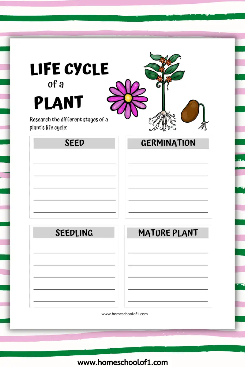 Get 85 Spring Life Cycle Worksheet Ideas 35