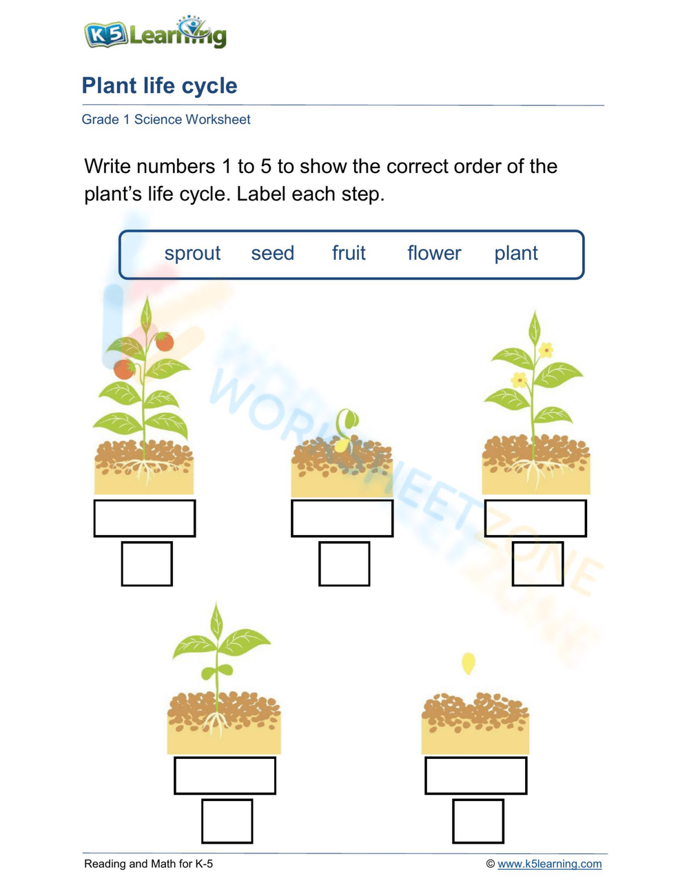 Get 85 Spring Life Cycle Worksheet Ideas 36