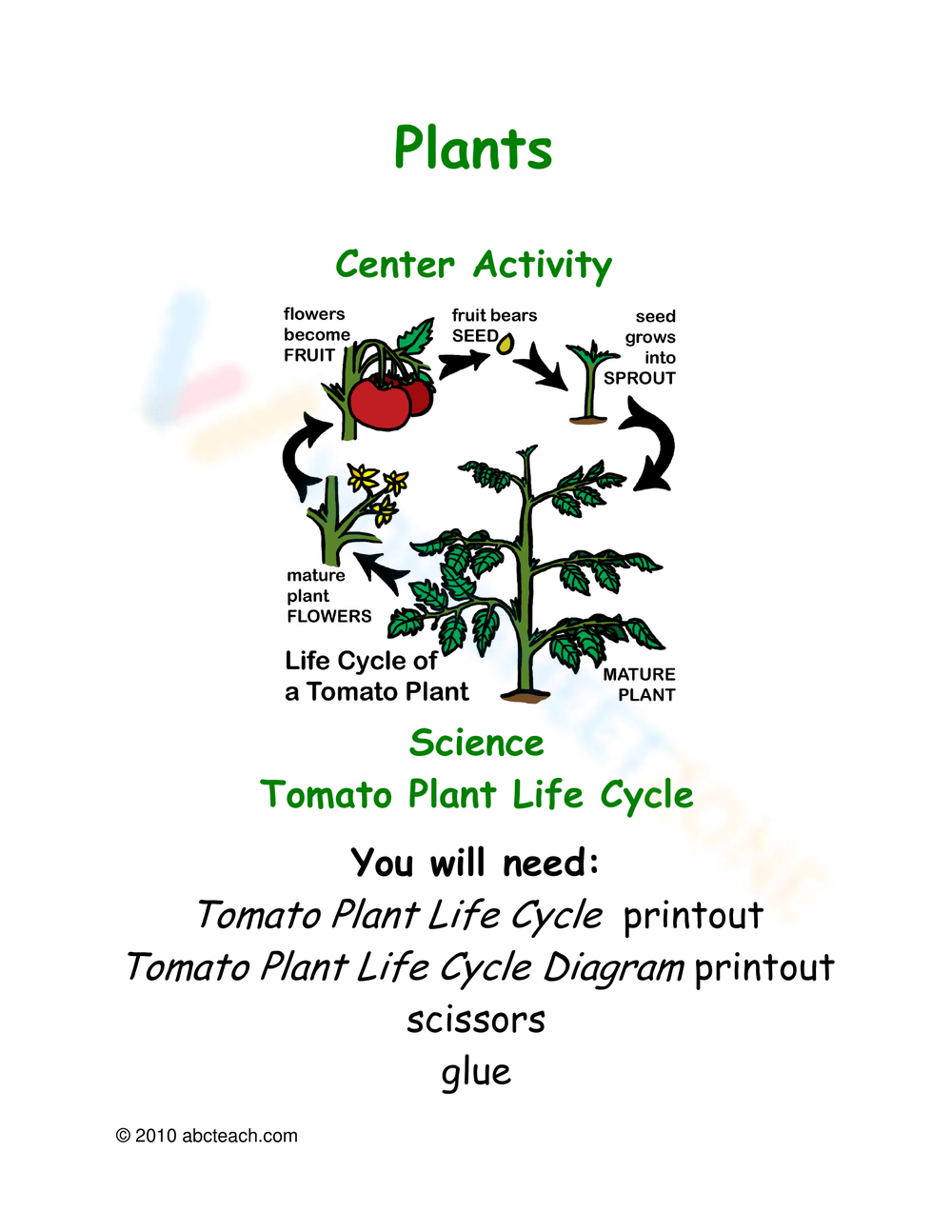 Get 85 Spring Life Cycle Worksheet Ideas 48