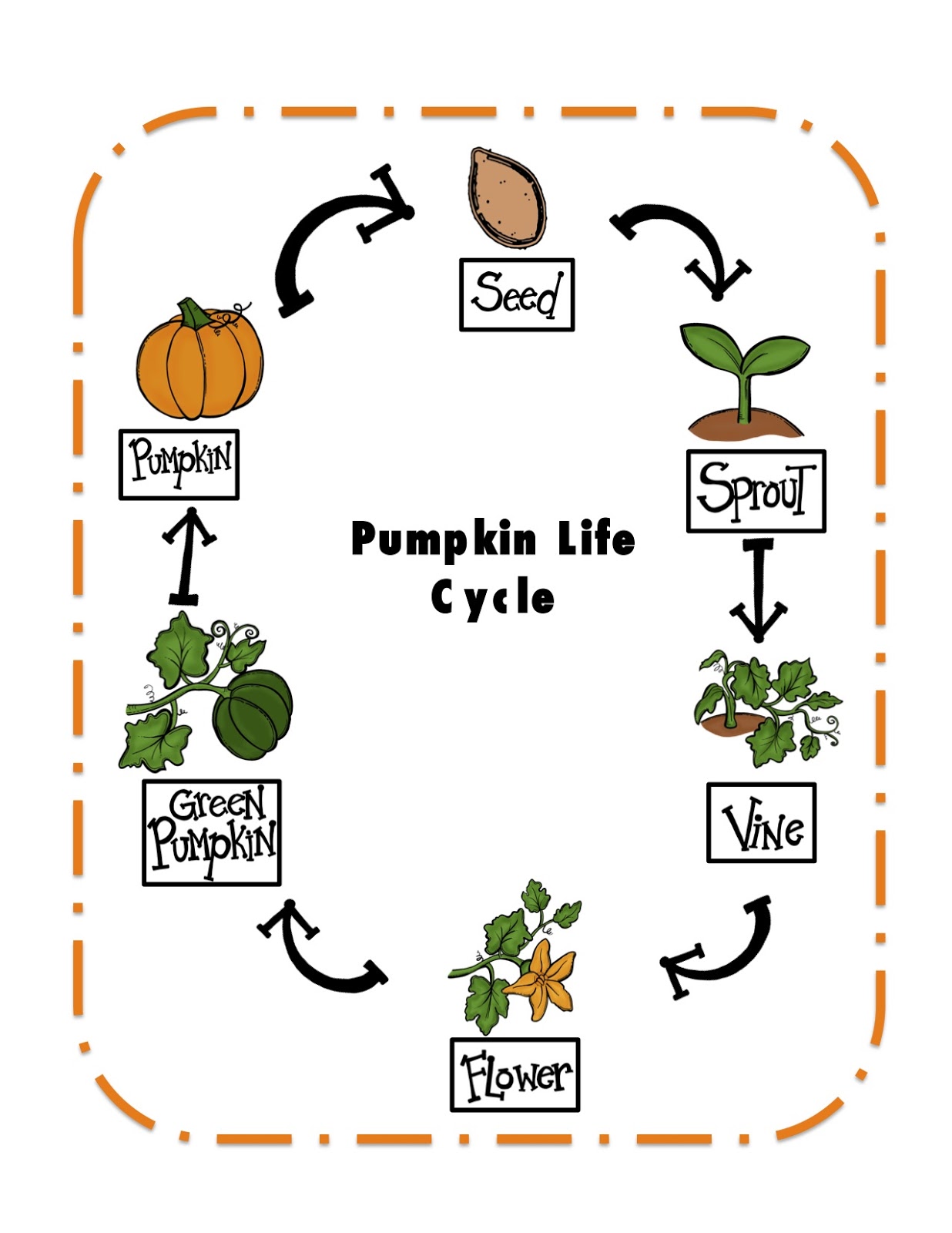 Get 85 Spring Life Cycle Worksheet Ideas 49