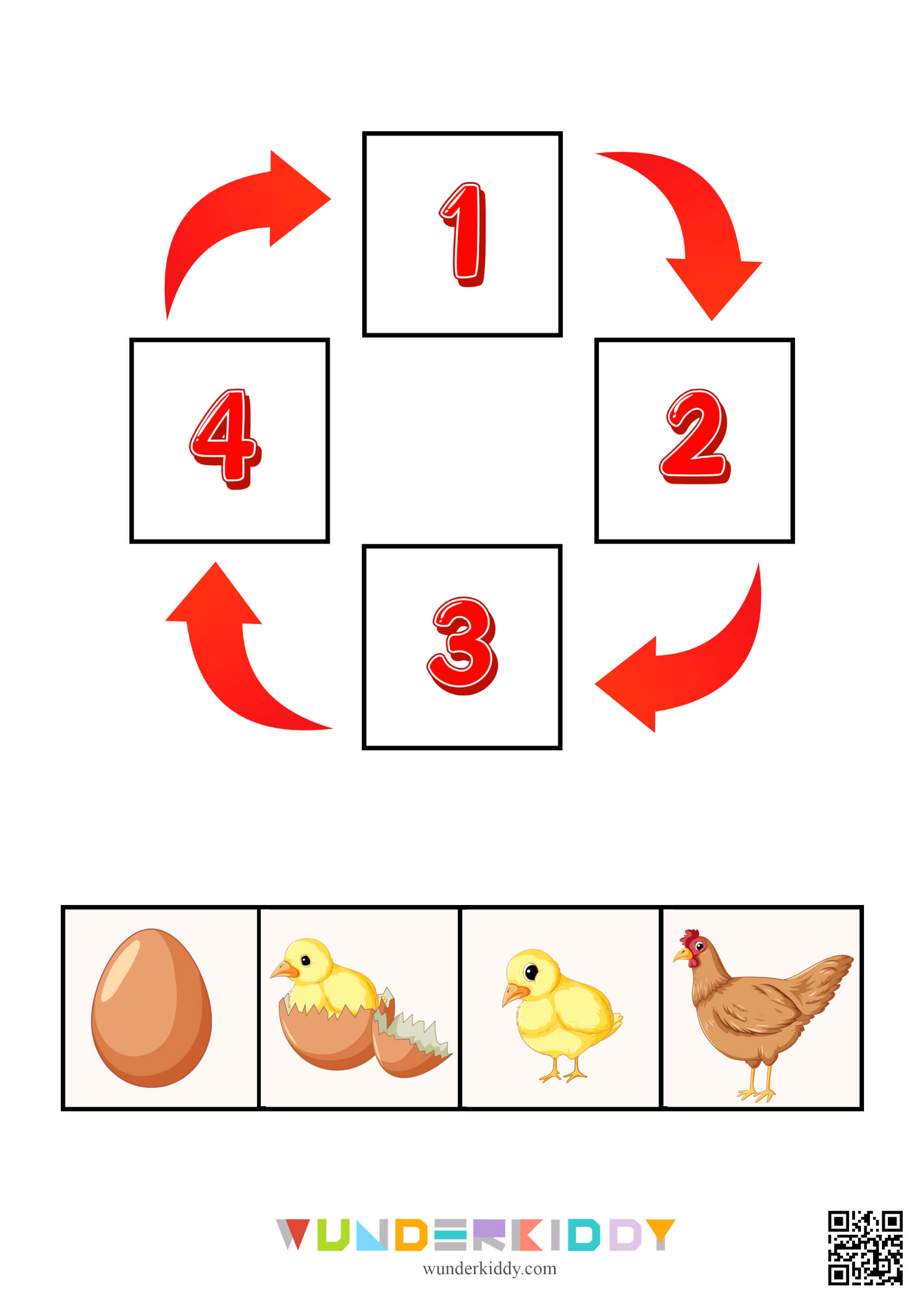 Get 85 Spring Life Cycle Worksheet Ideas 60