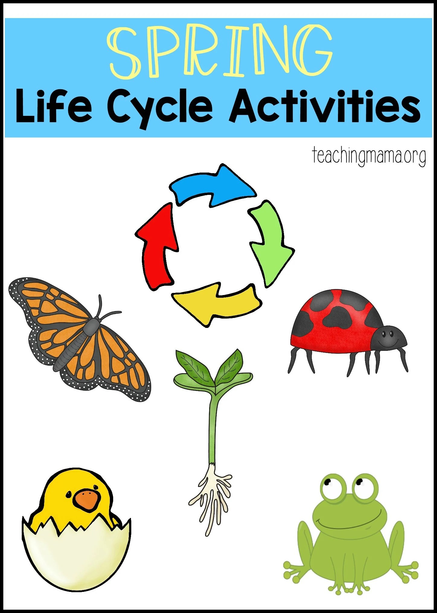 Get 85 Spring Life Cycle Worksheet Ideas 61