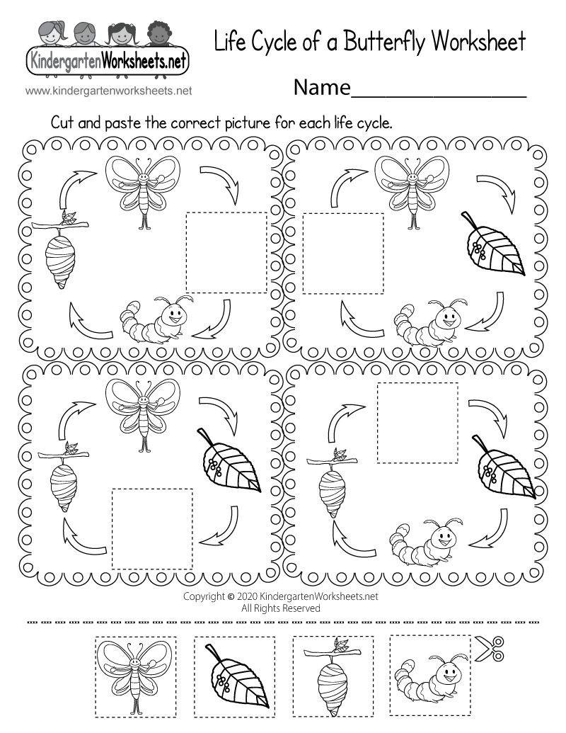 Get 85 Spring Life Cycle Worksheet Ideas 70