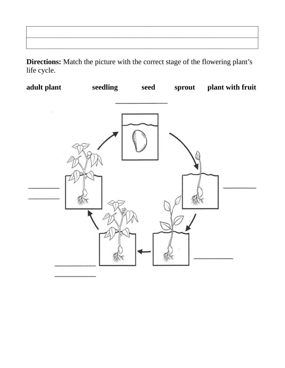 Get 85 Spring Life Cycle Worksheet Ideas 74