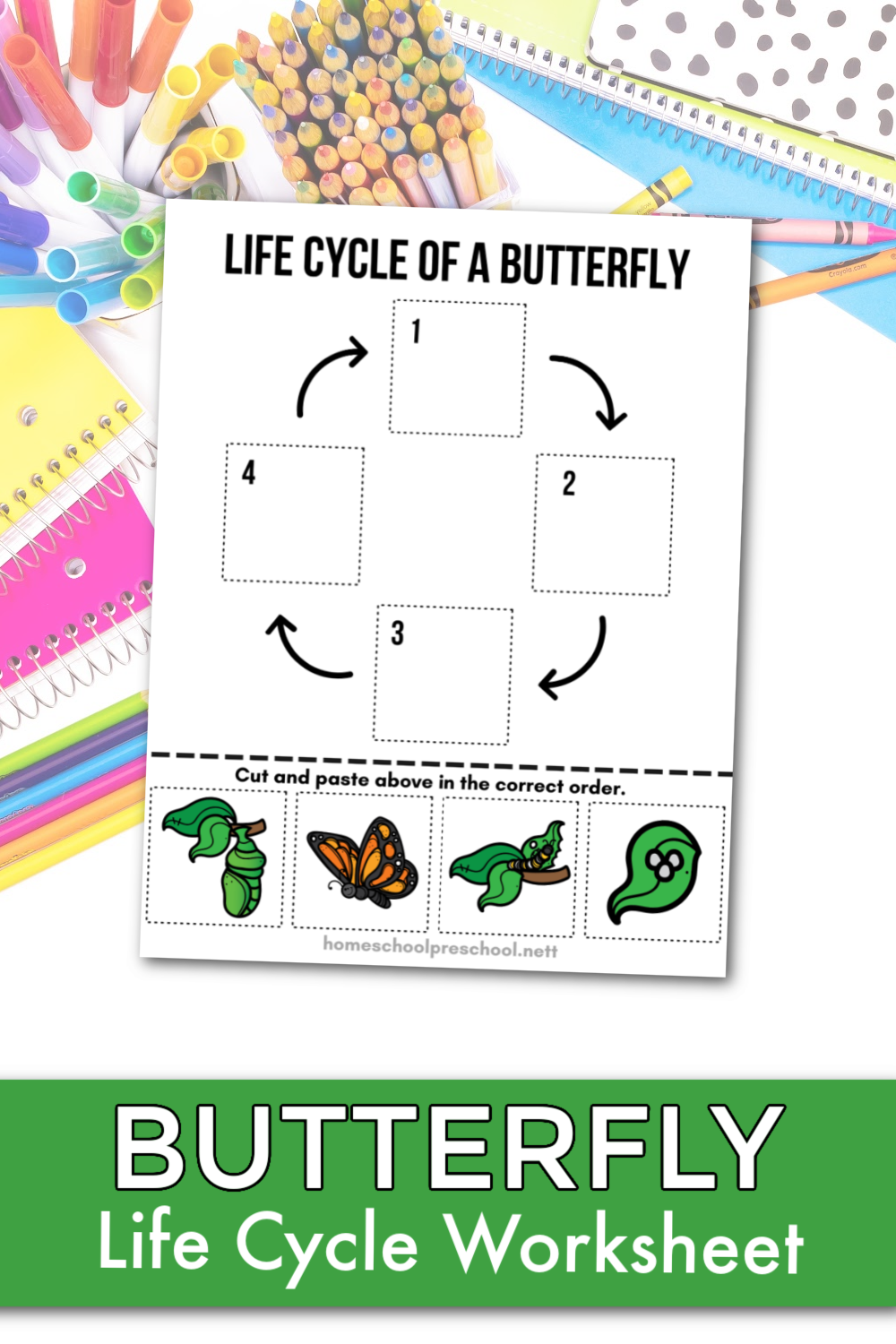 Get 85 Spring Life Cycle Worksheet Ideas 76