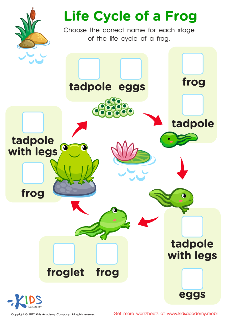 Get 85 Spring Life Cycle Worksheet Ideas 79