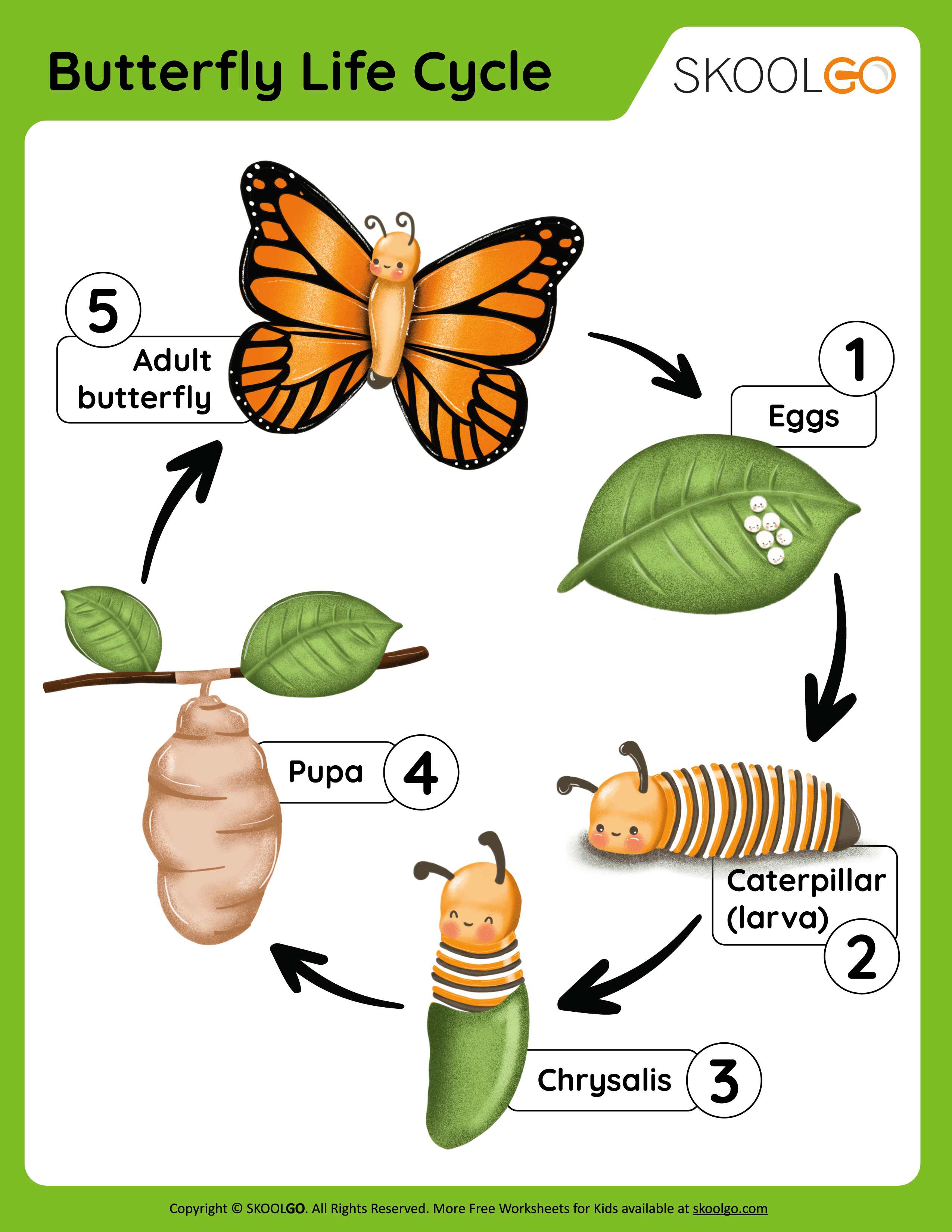 Get 85 Spring Life Cycle Worksheet Ideas 81