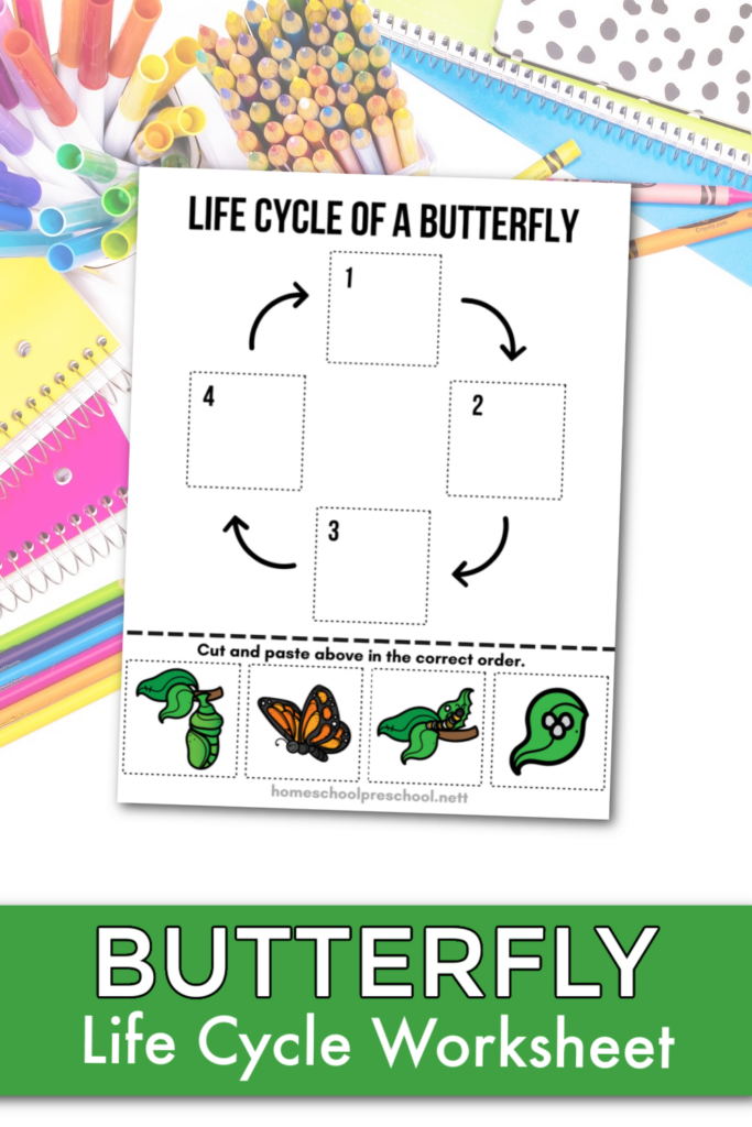 Get 85 Spring Life Cycle Worksheet Ideas 85