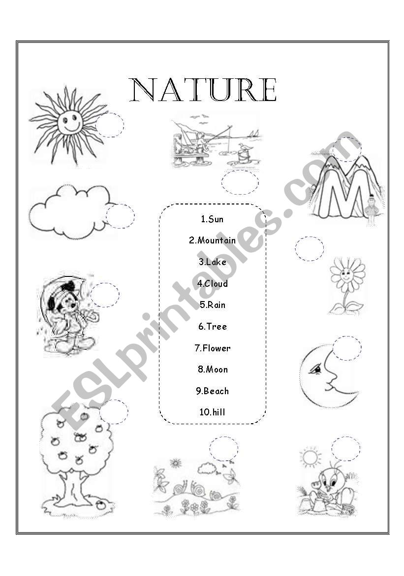 Get 85 Summer Nature Worksheet Ideas 12