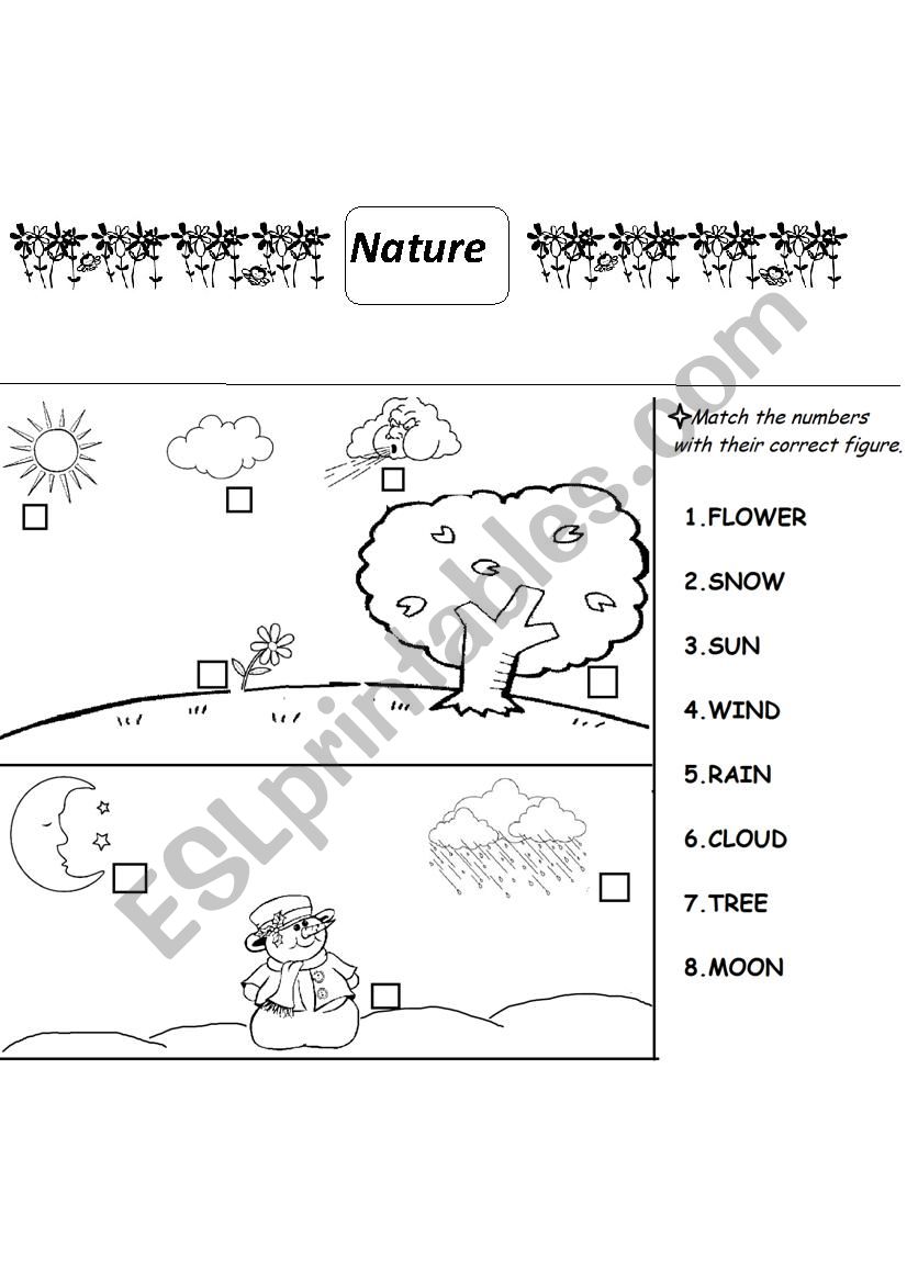 Get 85 Summer Nature Worksheet Ideas 13