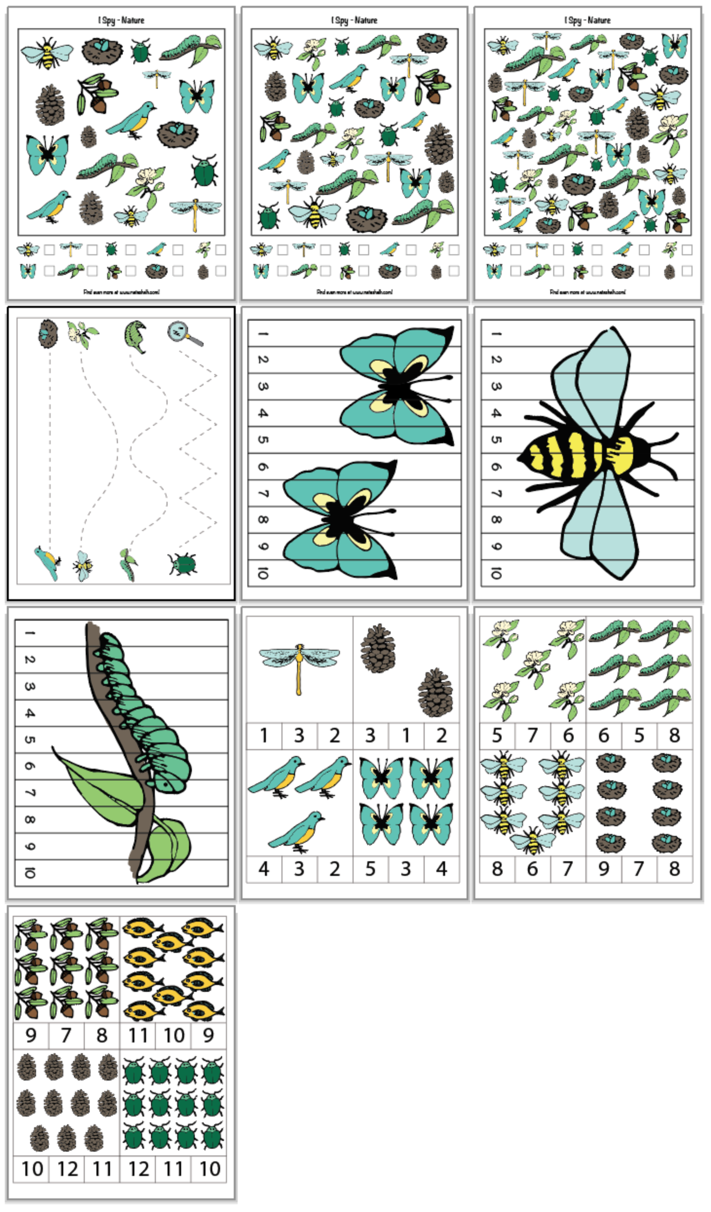 Get 85 Summer Nature Worksheet Ideas 15