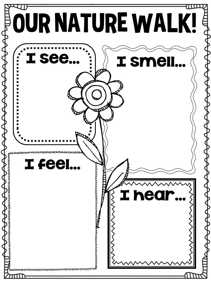 Get 85 Summer Nature Worksheet Ideas 18