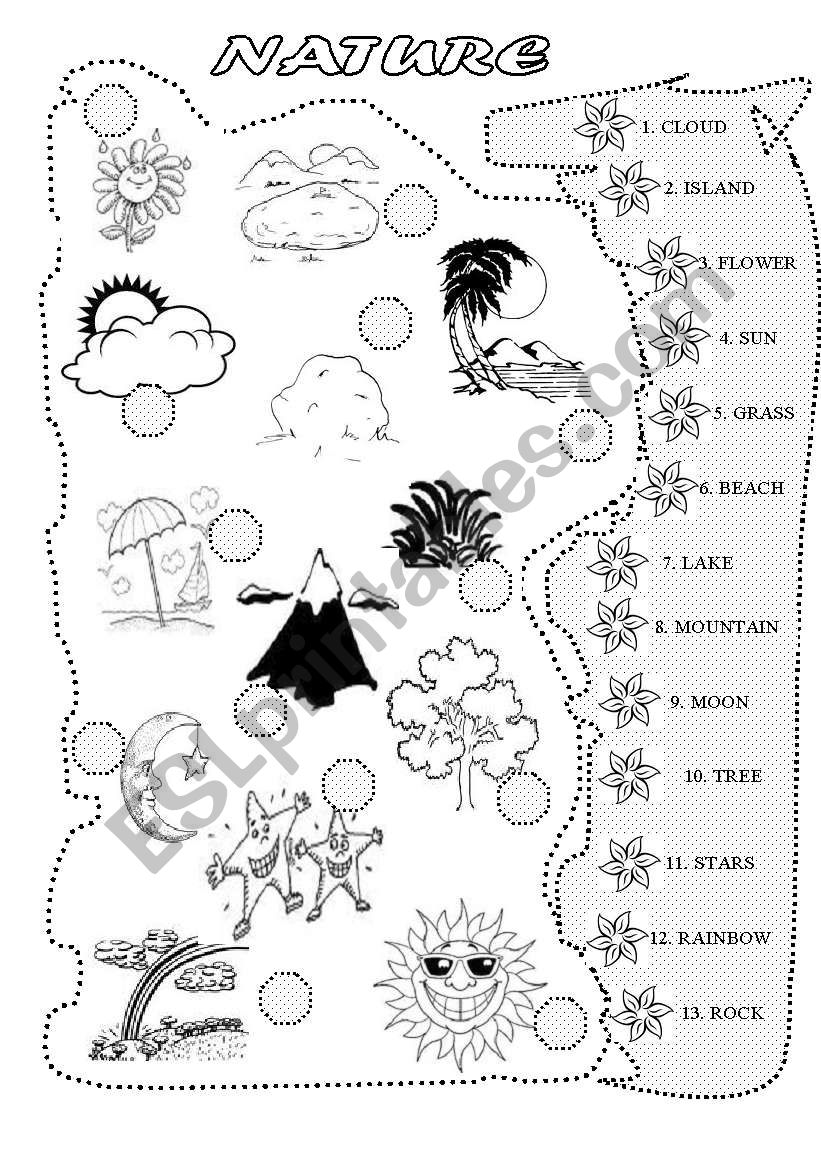 Get 85 Summer Nature Worksheet Ideas 20